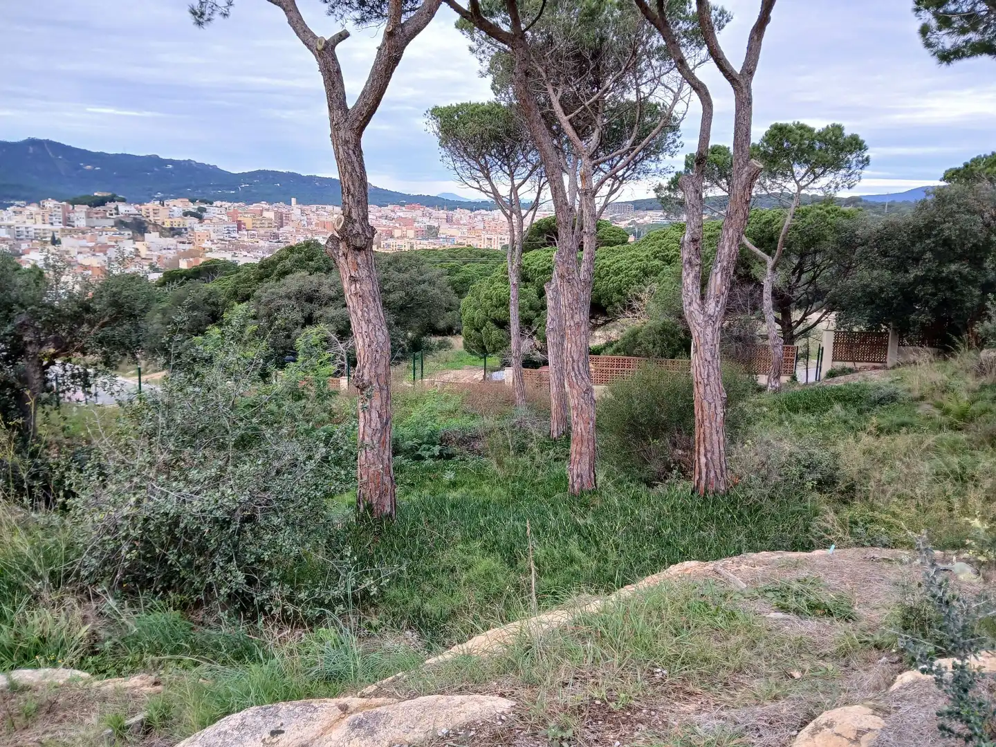 Terrenys i solars en venda a Francesc Macià 88, imagen 3