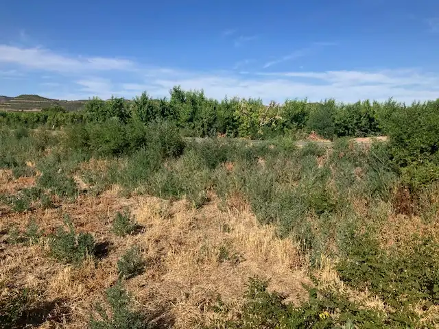 Terreni e lotti in vendita a Fraga, imagen 4