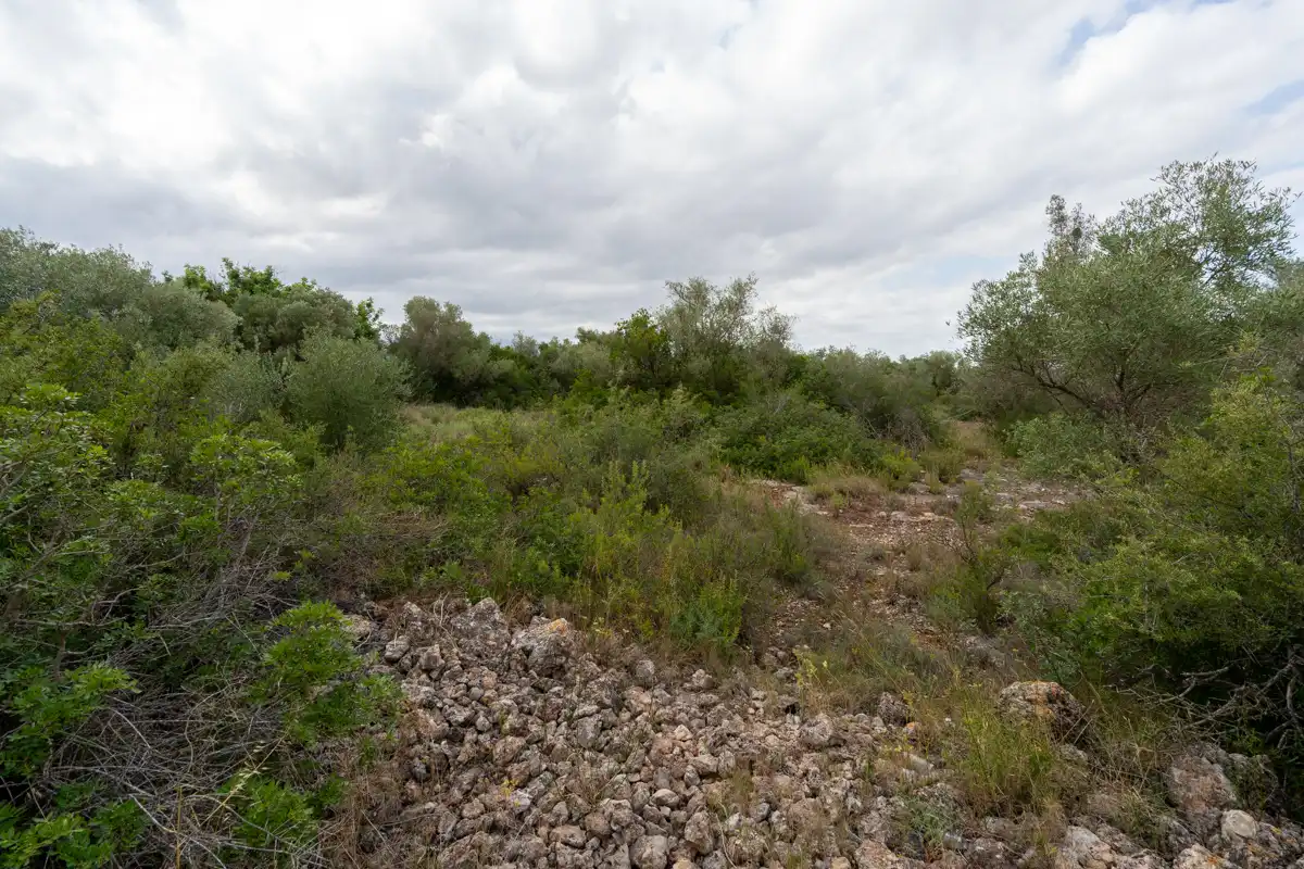 Rural land for sale in Vinallop, imagen 2