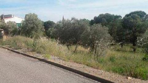 Photo 4 of Residential for sale in Garbi, 22, Pau, Girona