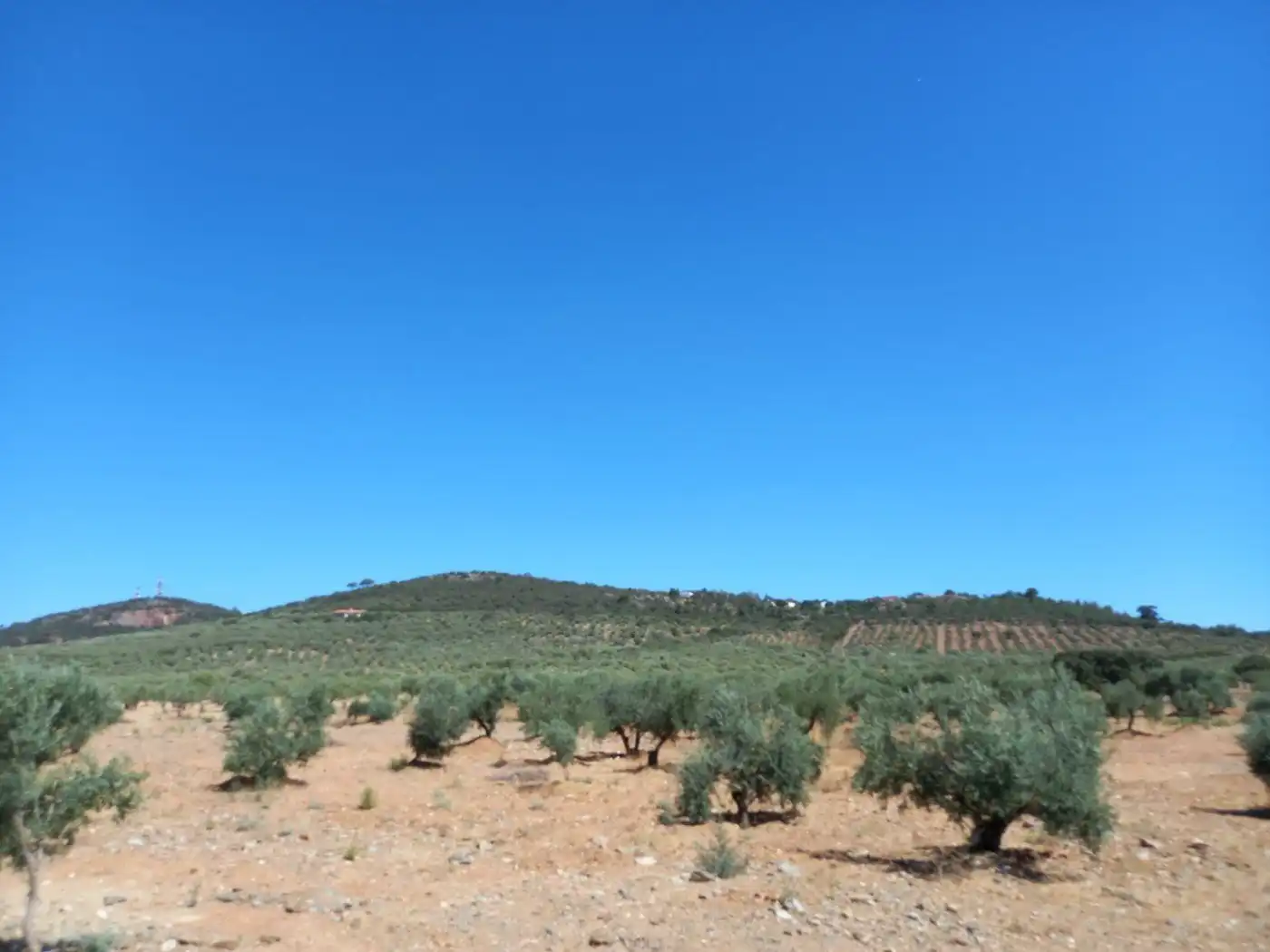 Finca rústica en venda en Cáceres