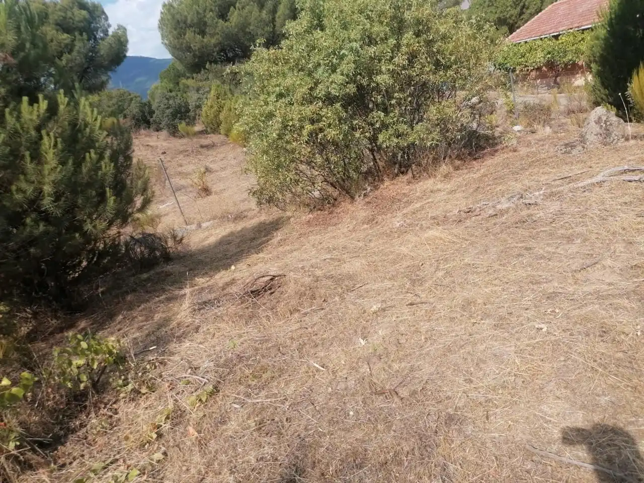 Terreni e lotti in vendita a El Tiemblo, imagen 5
