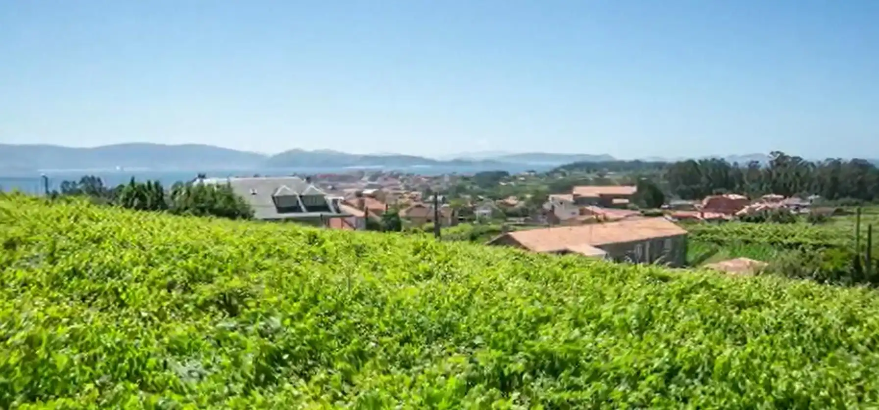Finca rústica en venda en Sanxenxo amb Jardí privat, Parquet i Terrassa