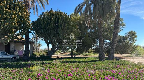 Foto 3 de Casa o xalet en venda a Centro, Elche / Elx