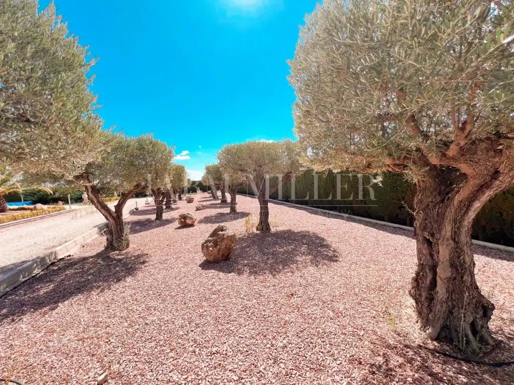 Casa o xalet en venda en Yecla amb Aire condicionat, Calefacció i Jardí privat