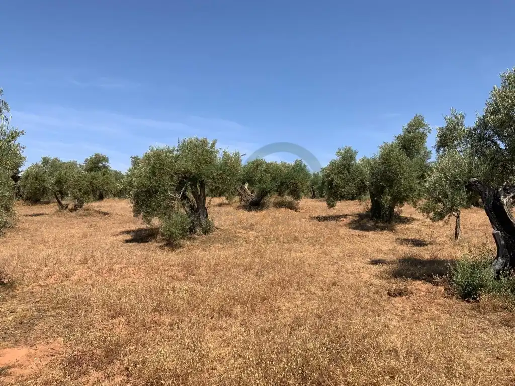House for sale in Montoro, imagen 14