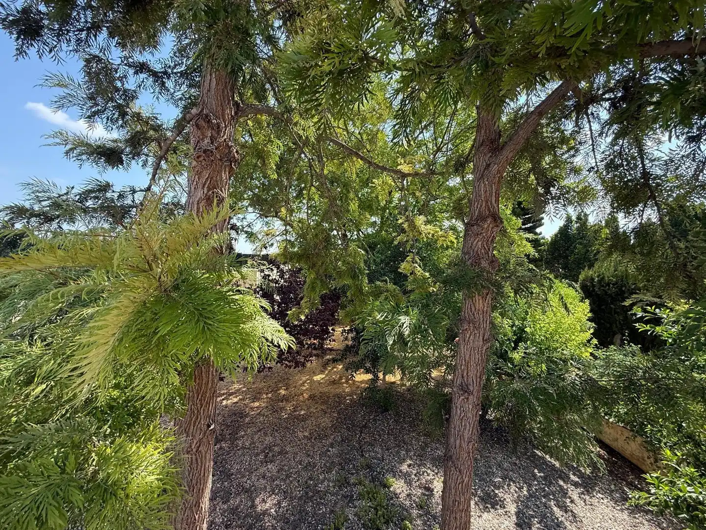 Villa avec piscine à vendre à Albatera, imagen 21