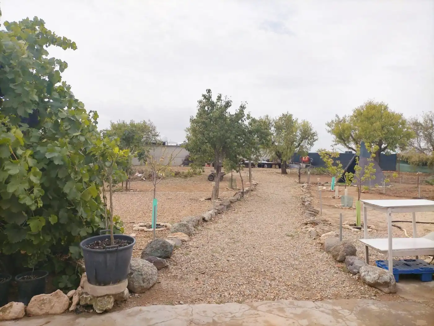 Villa con piscina in vendita a Cantorreras, imagen 16