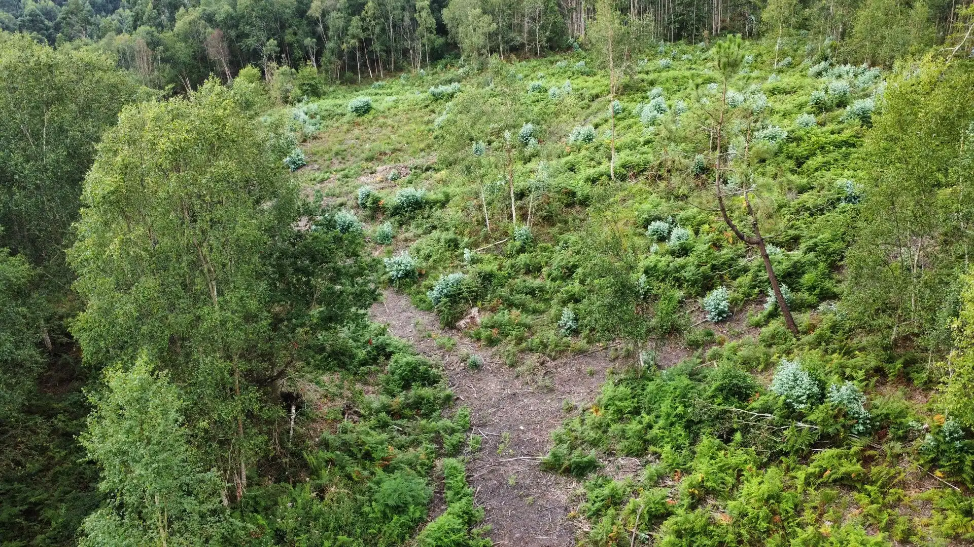 Terreno rustico in vendita a Pría - Nueva-Hontoria - Naves, imagen 3