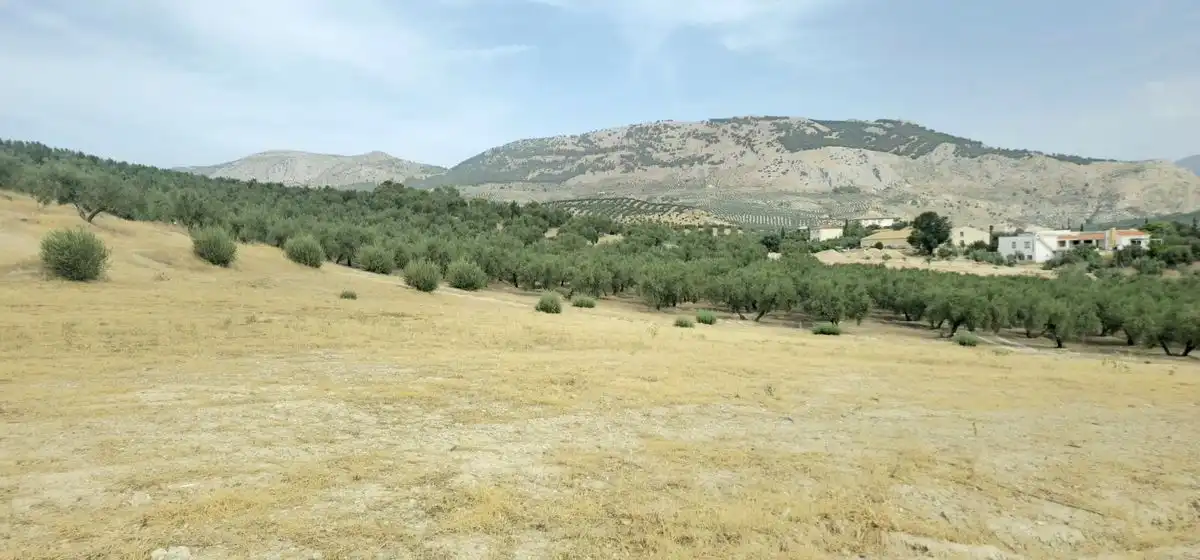 Terreni e lotti in vendita a N-323a