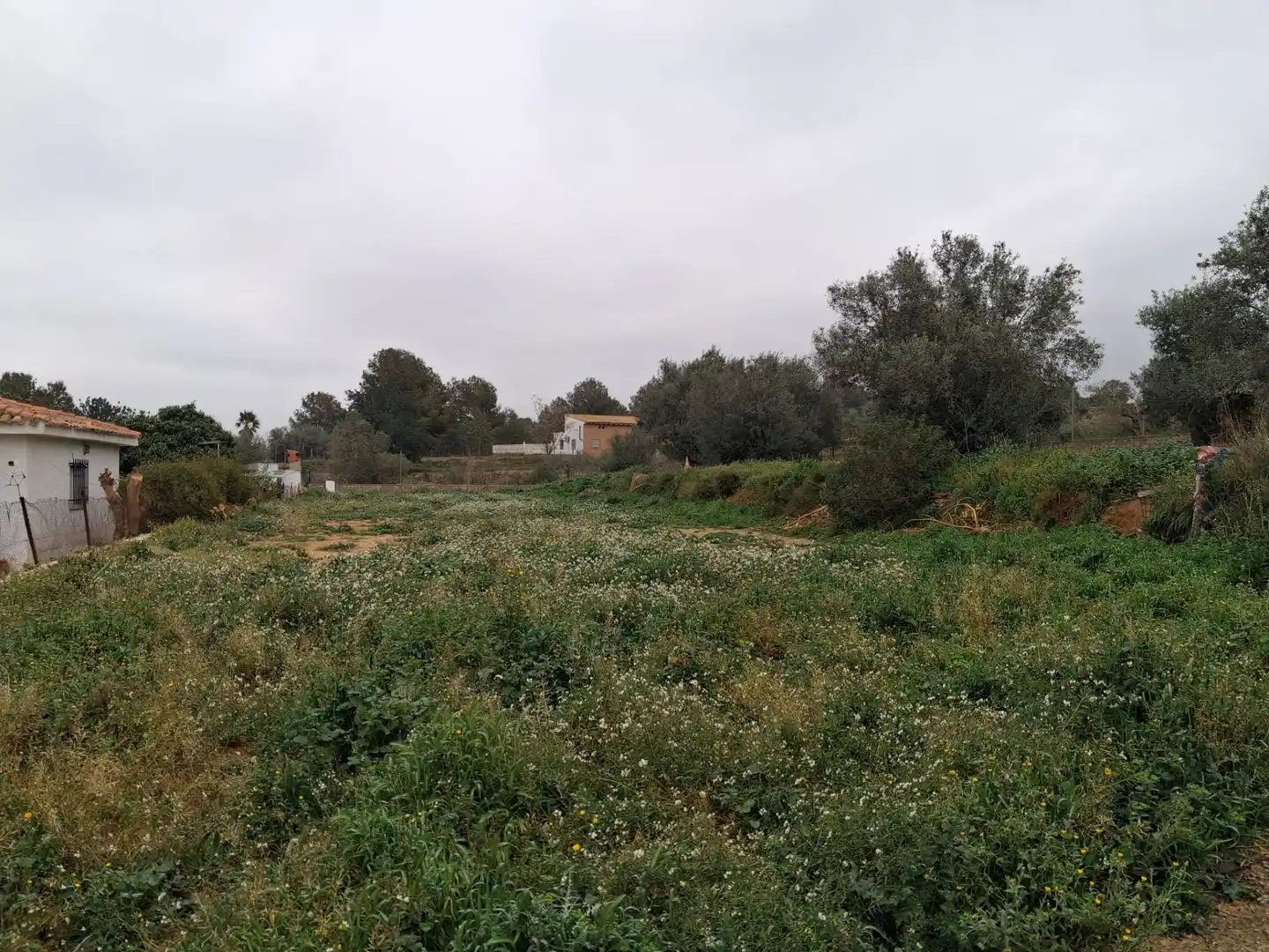 Casa con jardín en venta en Montserrat, imagen 16