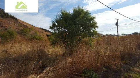 VENTA FINCA CRTA ALMARAZ, imatge 2