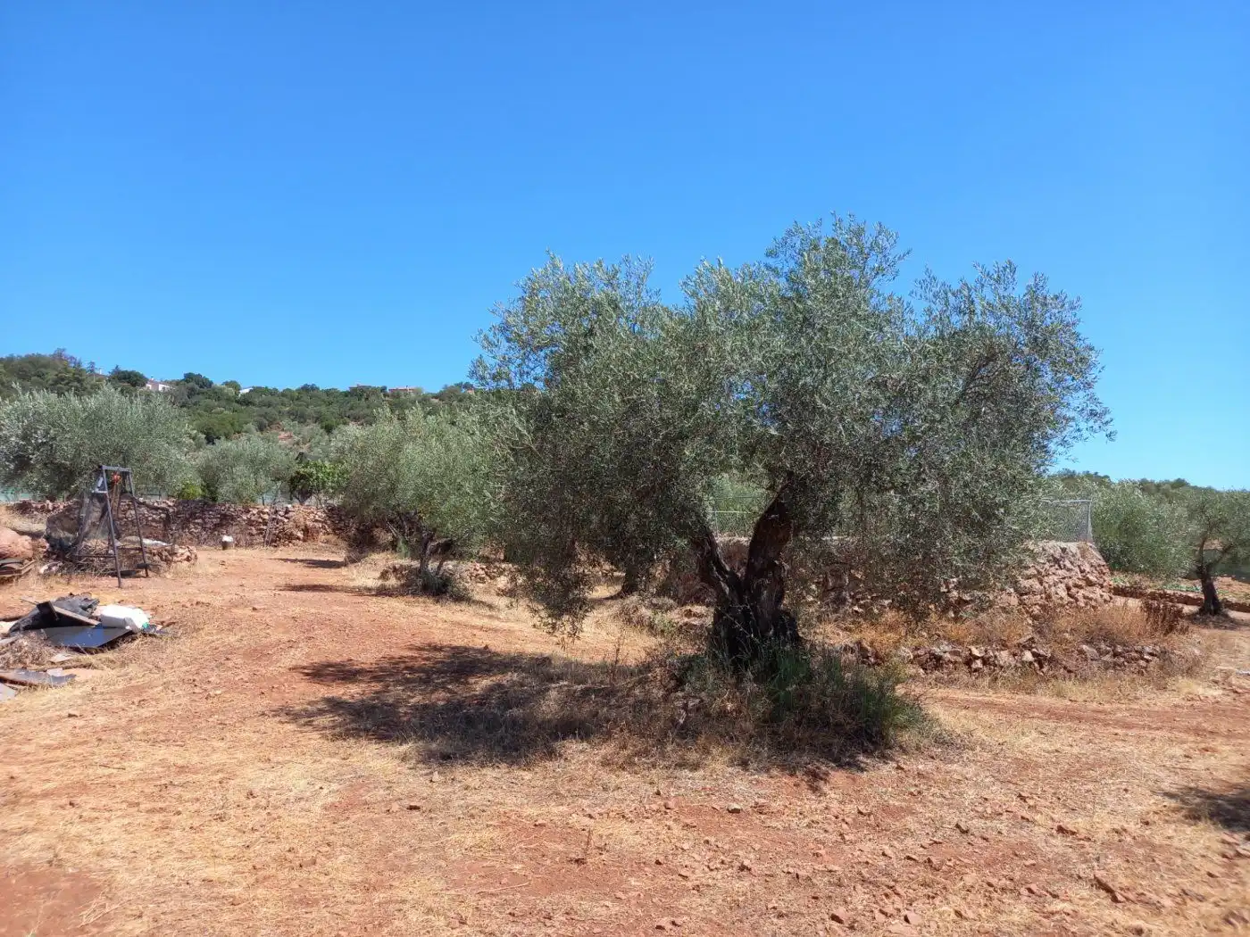 Finca rústica en venda en Cáceres