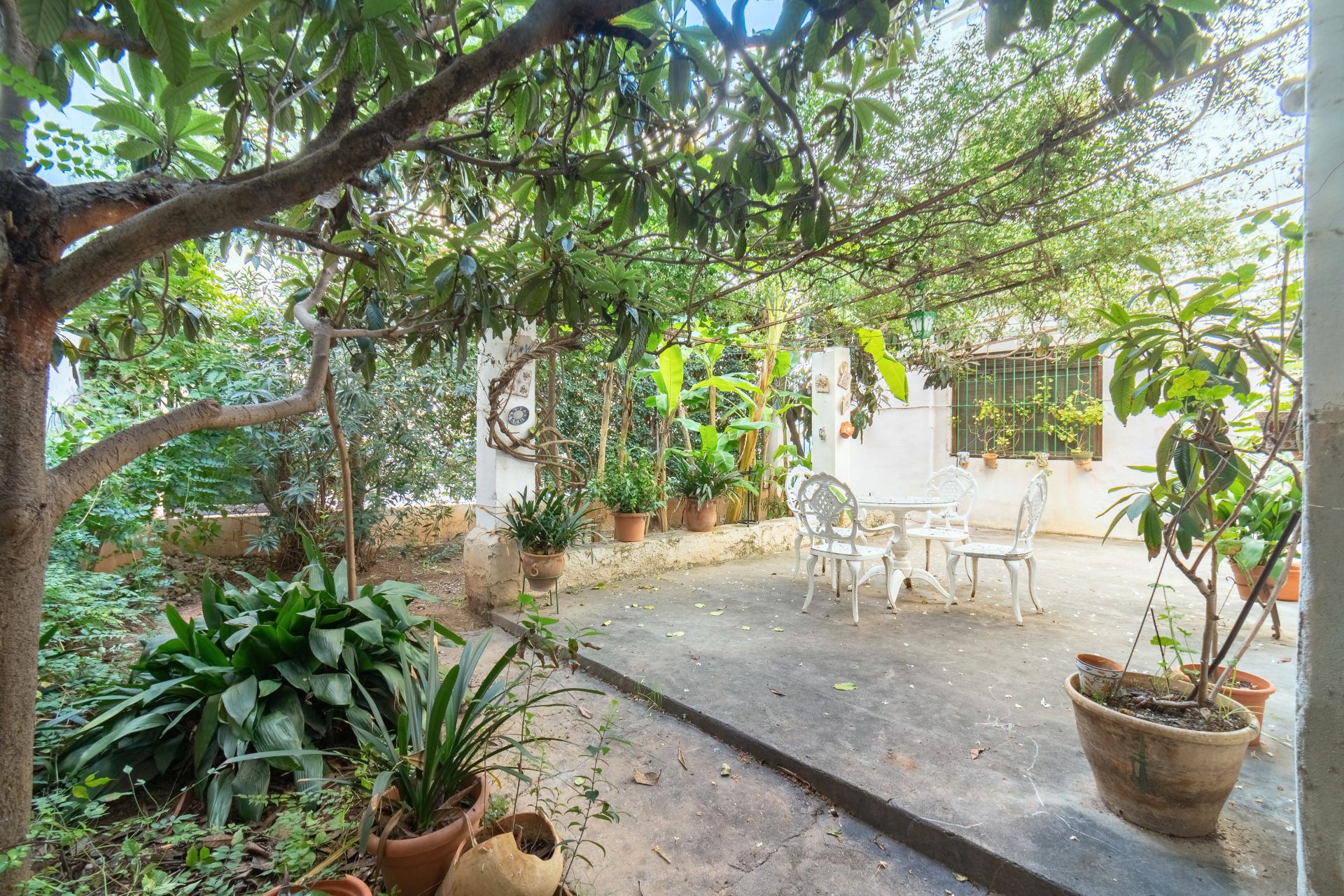 Garden of House or chalet for sale in Castellón de la Plana / Castelló de la Plana  with Terrace
