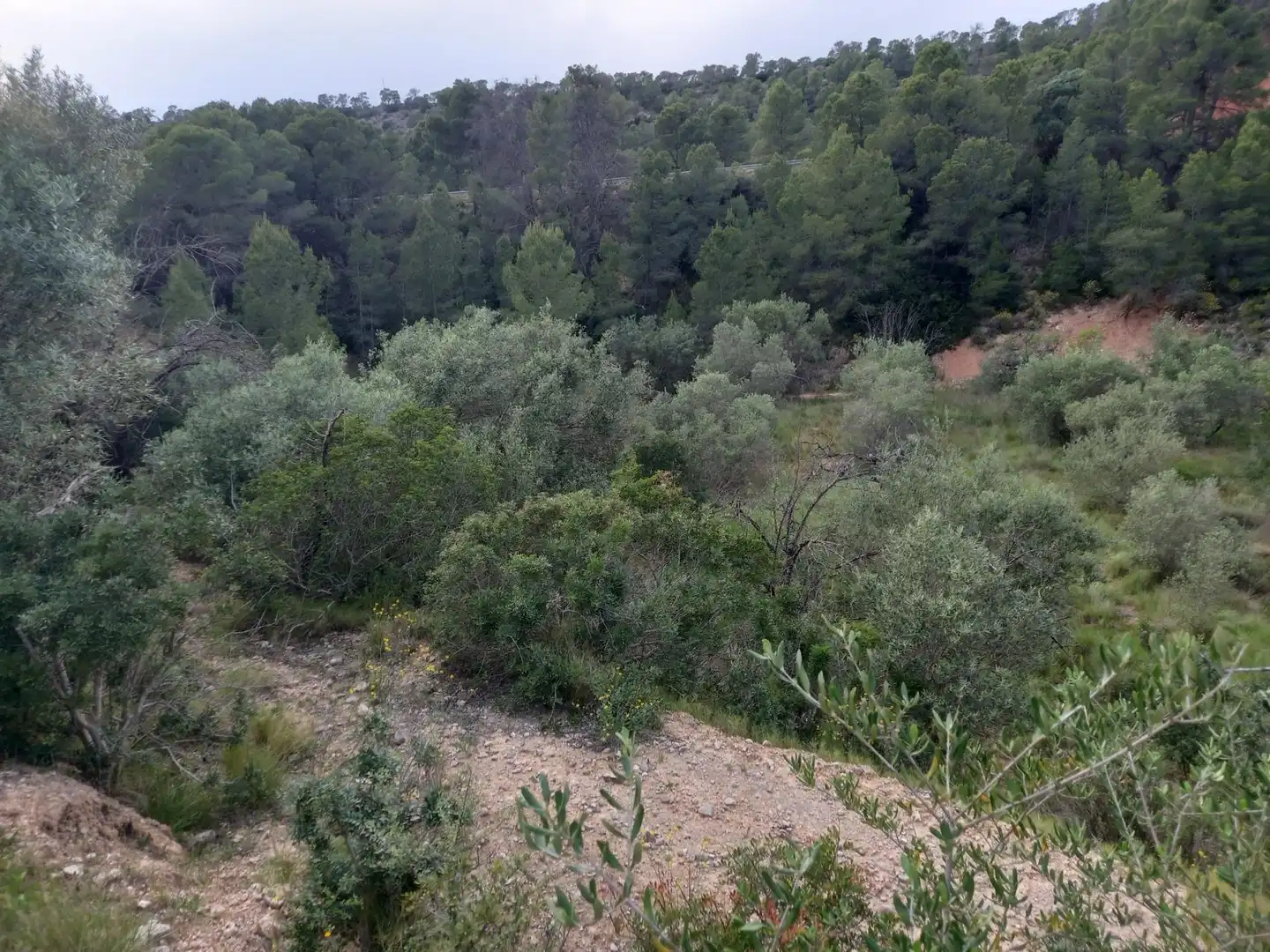 Rural land for sale in El Pinell de Brai, imagen 20