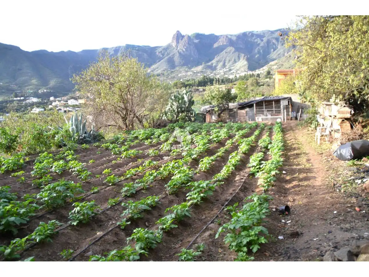 Garden of Land for sale in Valsequillo de Gran Canaria