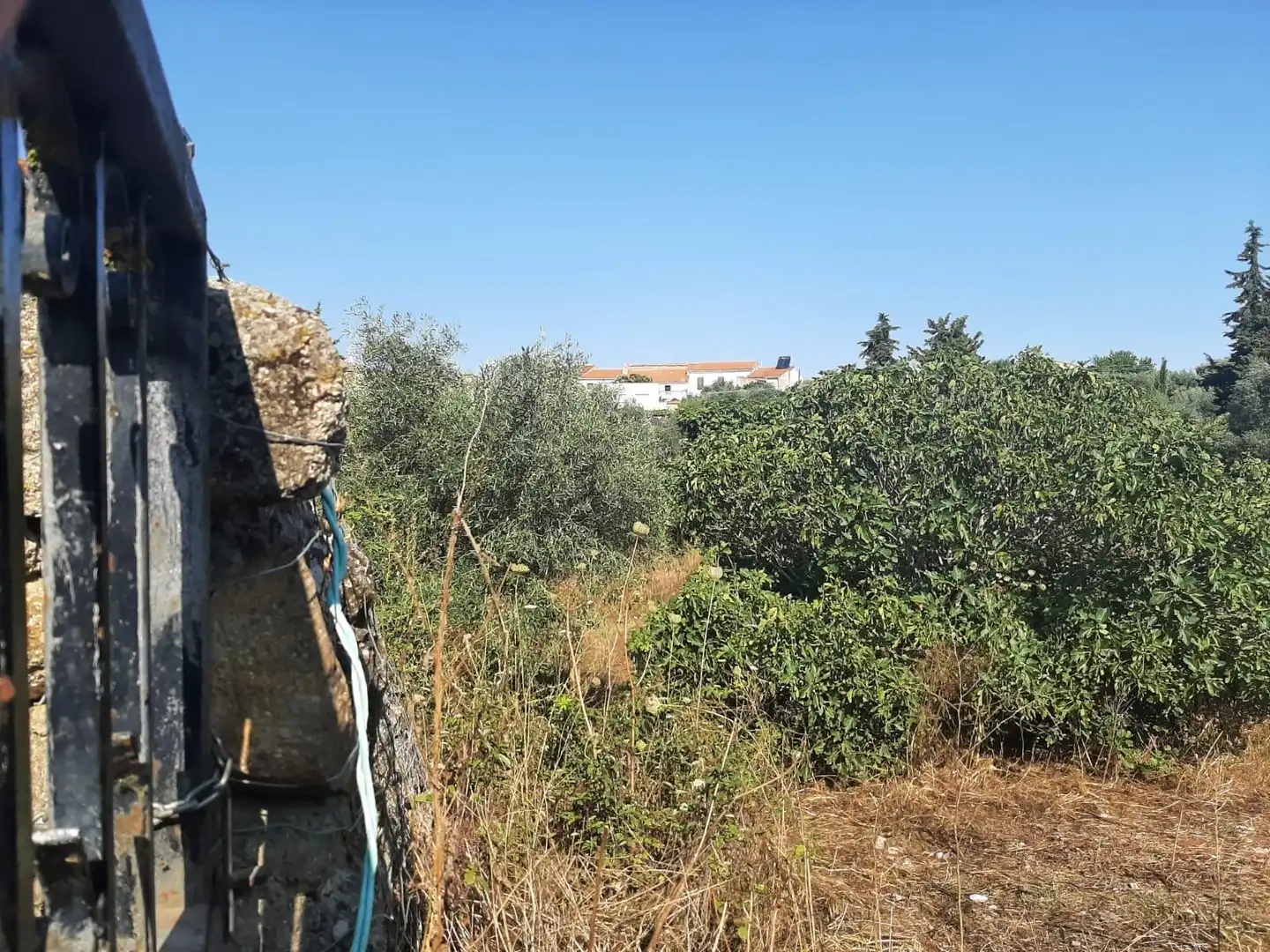 Terreni e lotti in vendita a Casas de Don Antonio, imagen 4