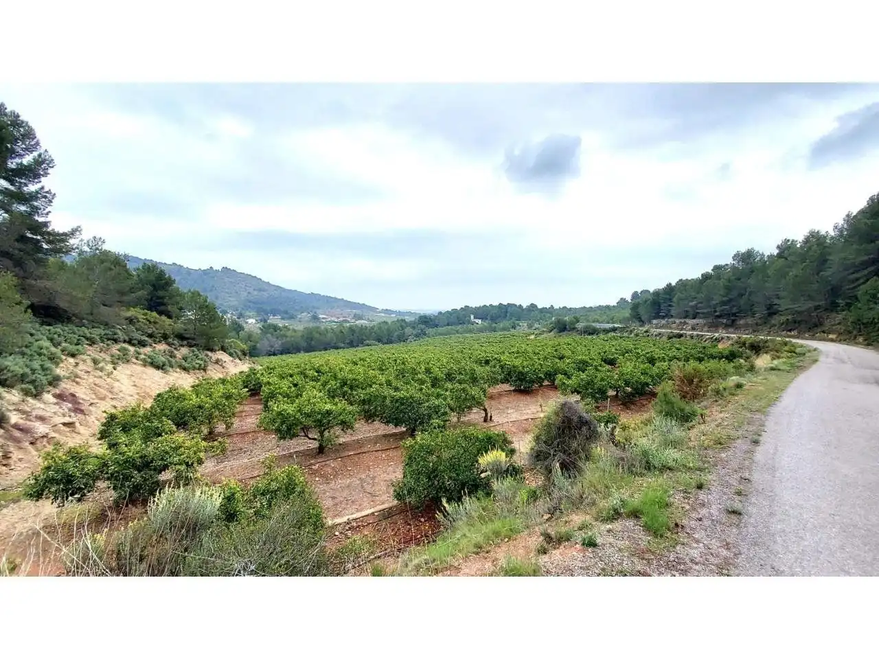Rural land for sale in 30, imagen 2