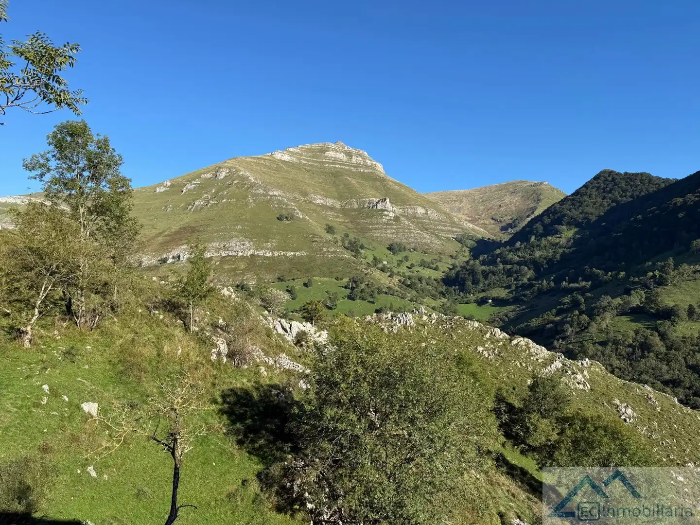 Vista exterior de Finca rústica en venta en Ruesga