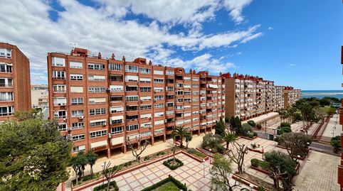 Foto 2 de Pis en venda a Calle Calle Deportista Joaquín Blume, Palmeral, Alicante / Alacant