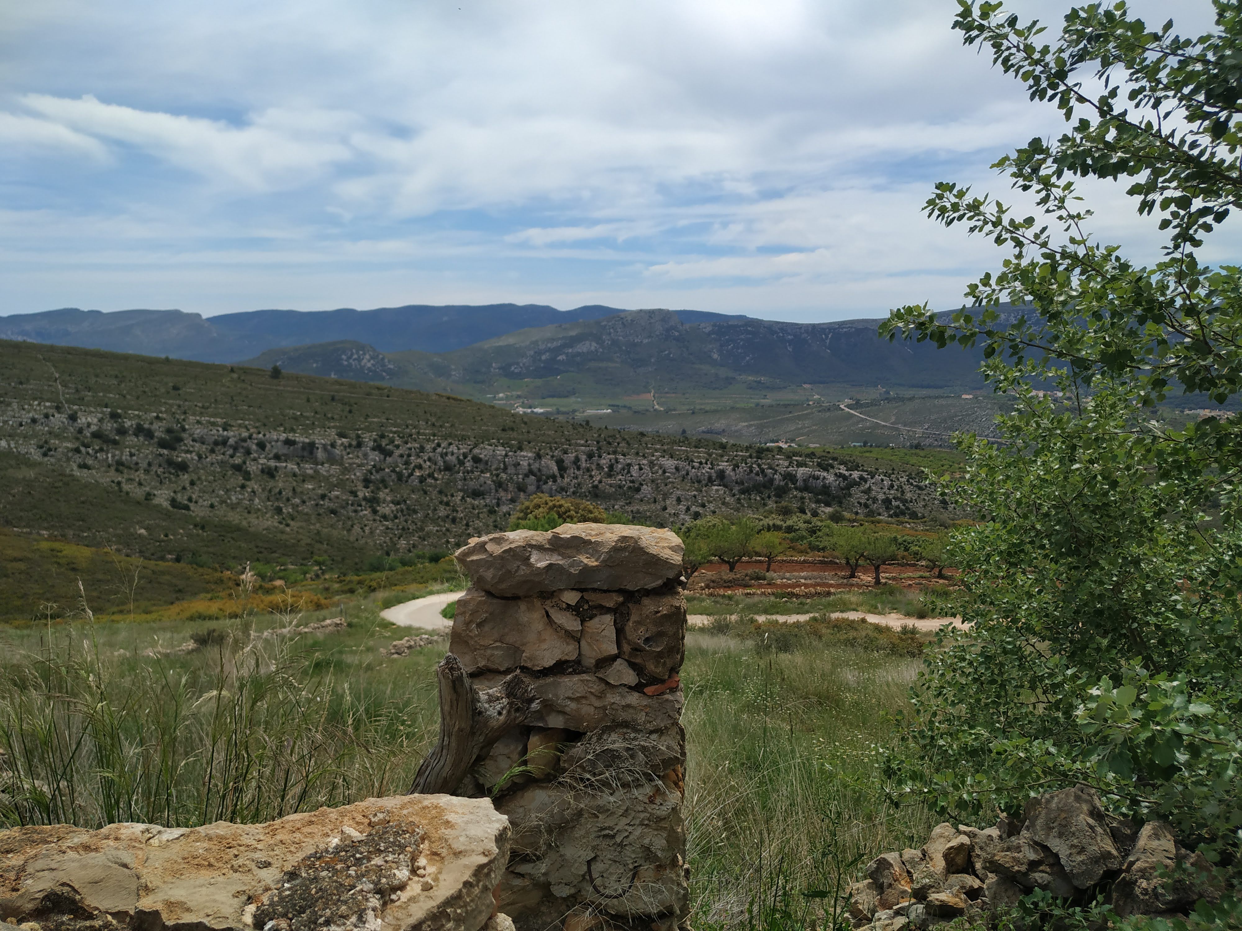 House or chalet for sale in La Torre d'En Besora