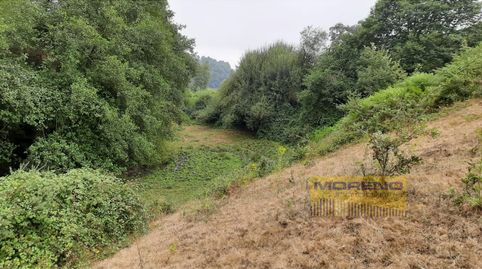 FINCA RÚSTICA, Bild 5