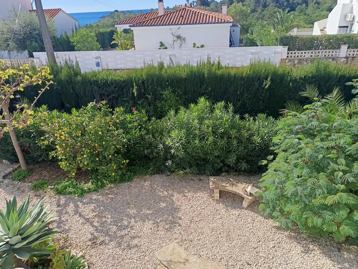 Jardí de Casa o xalet en venda en L'Ametlla de Mar  amb Aire condicionat, Calefacció i Jardí privat