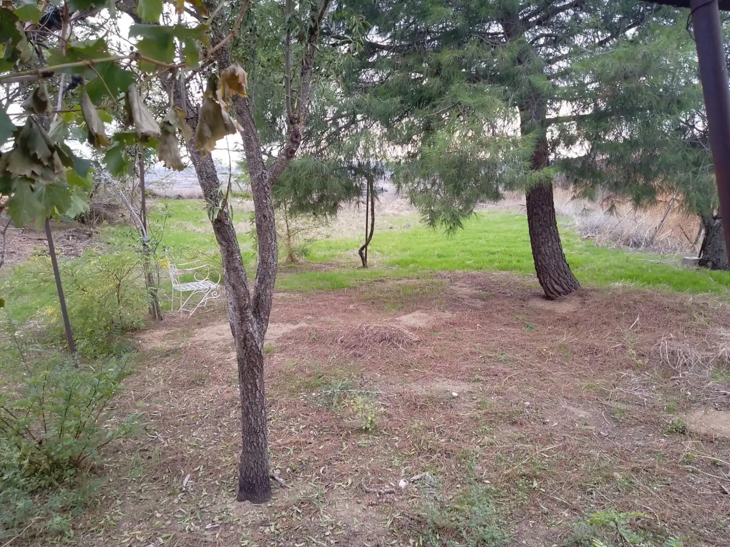 Casa o chalet en venta en Toro con Jardín privado