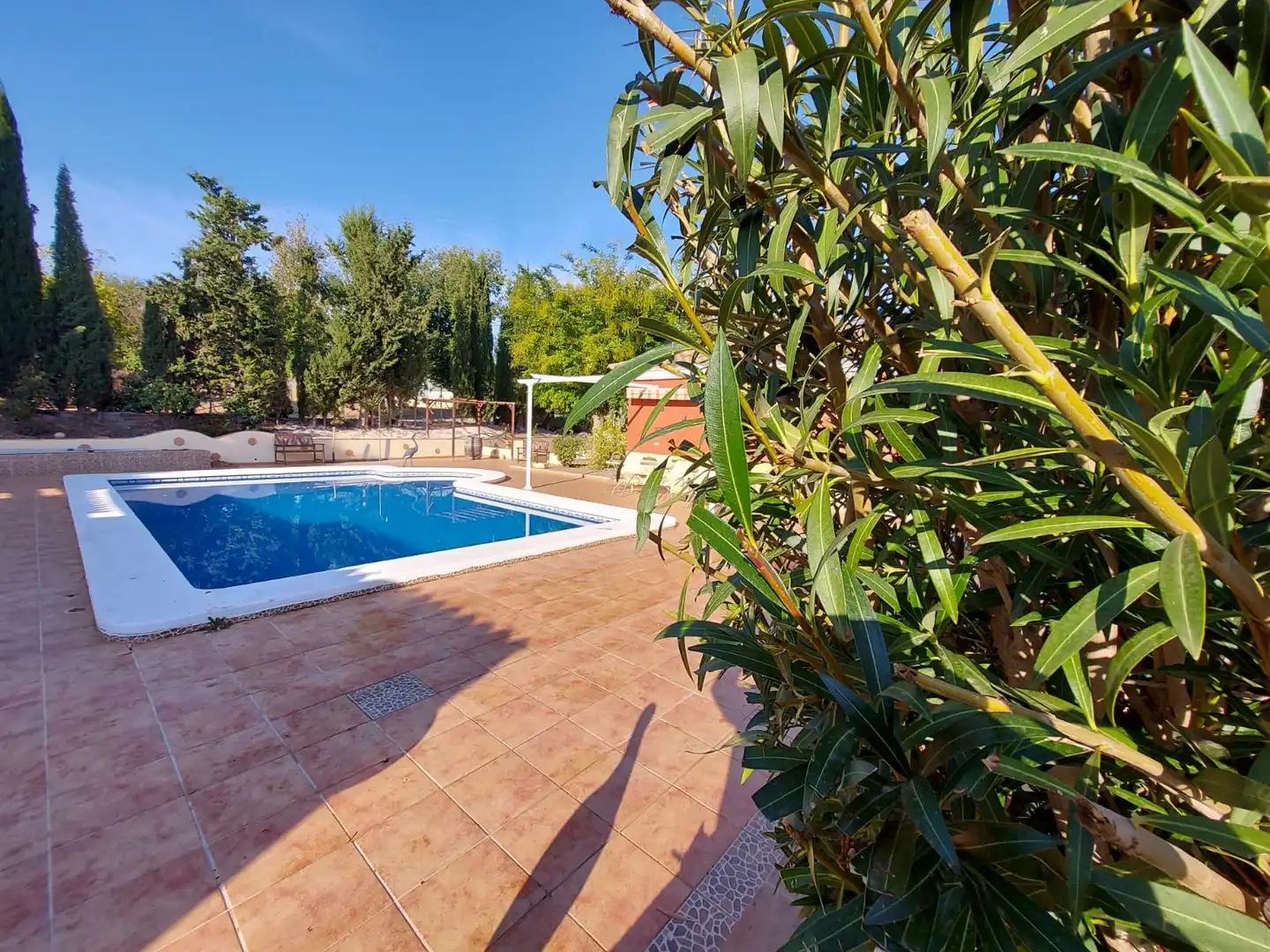 Maison rustique avec piscine à vendre à Calasparra, imagen 4