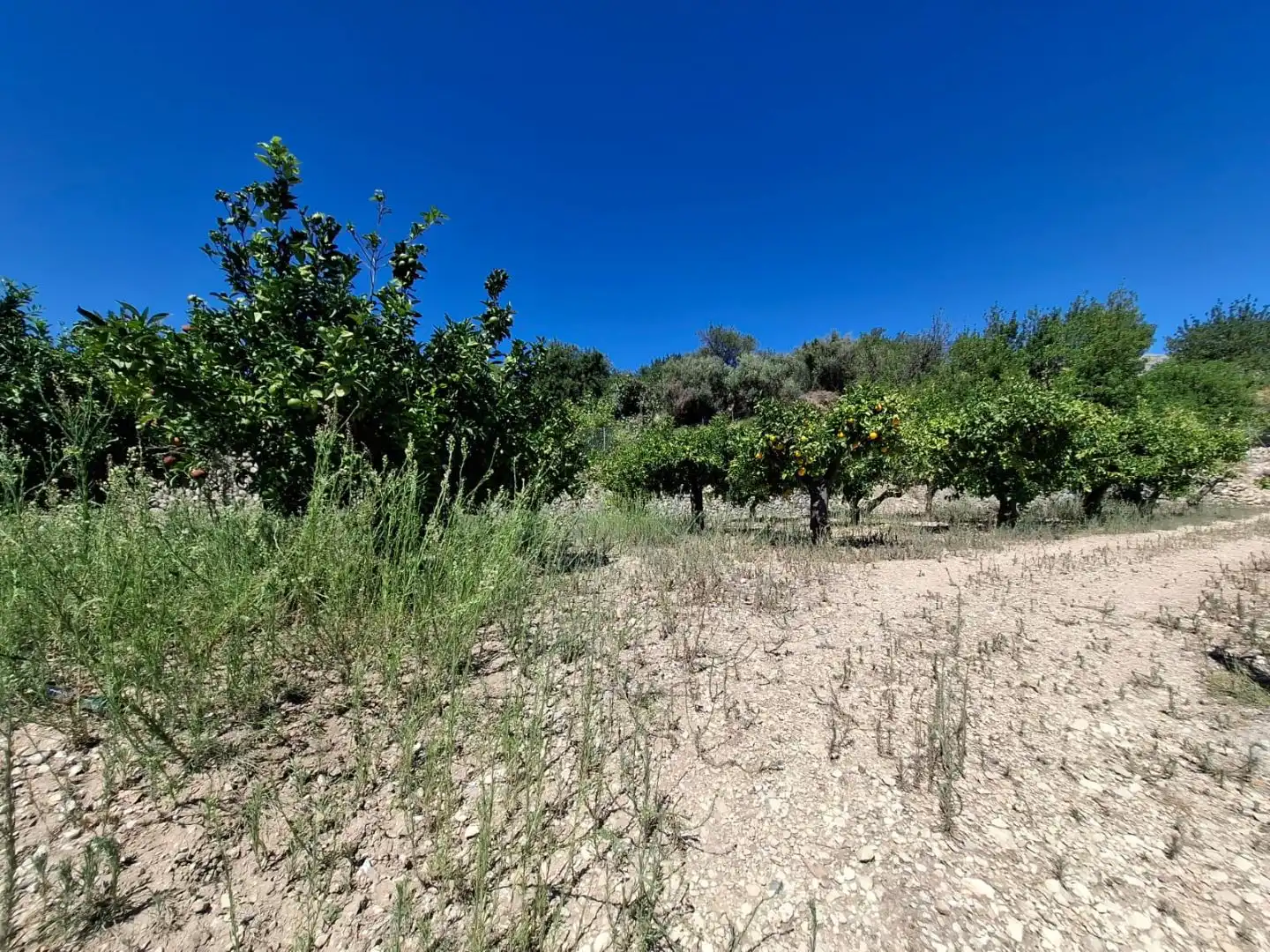 Grundstücke zum Verkauf in Beniardà