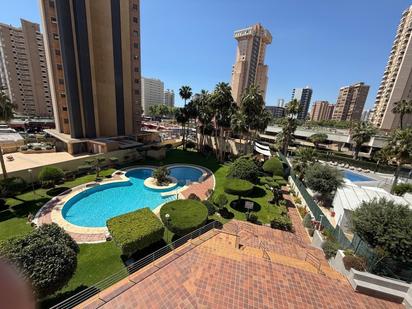 Swimming pool of Apartment for sale in Benidorm  with Community pool