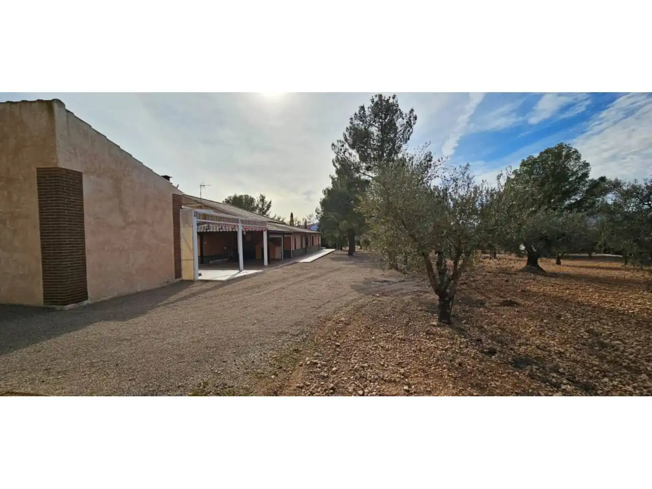 Chalet con piscina en venta en Jumilla, imagen 54