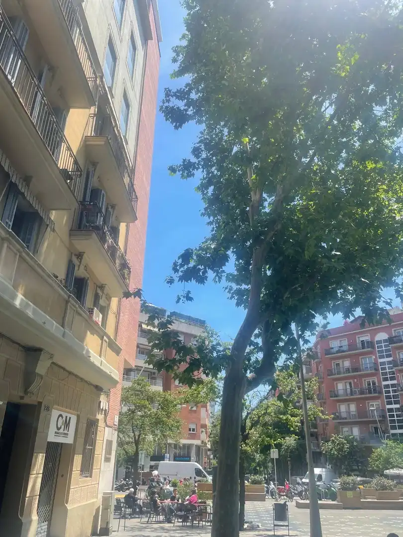 Flat with lift for sale in Comte Borrell, imagen 18