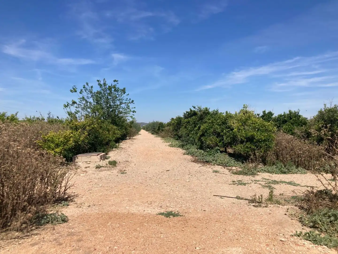 Finca rústica en venda a Los Montesinos