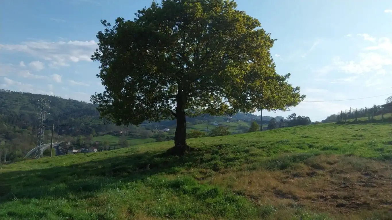 Residential land for sale in Carbayin - Lieres - Valdesoto, imagen 8
