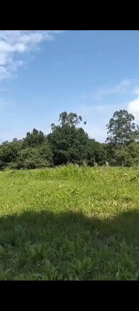 Finca rústica en venta en Valdáliga