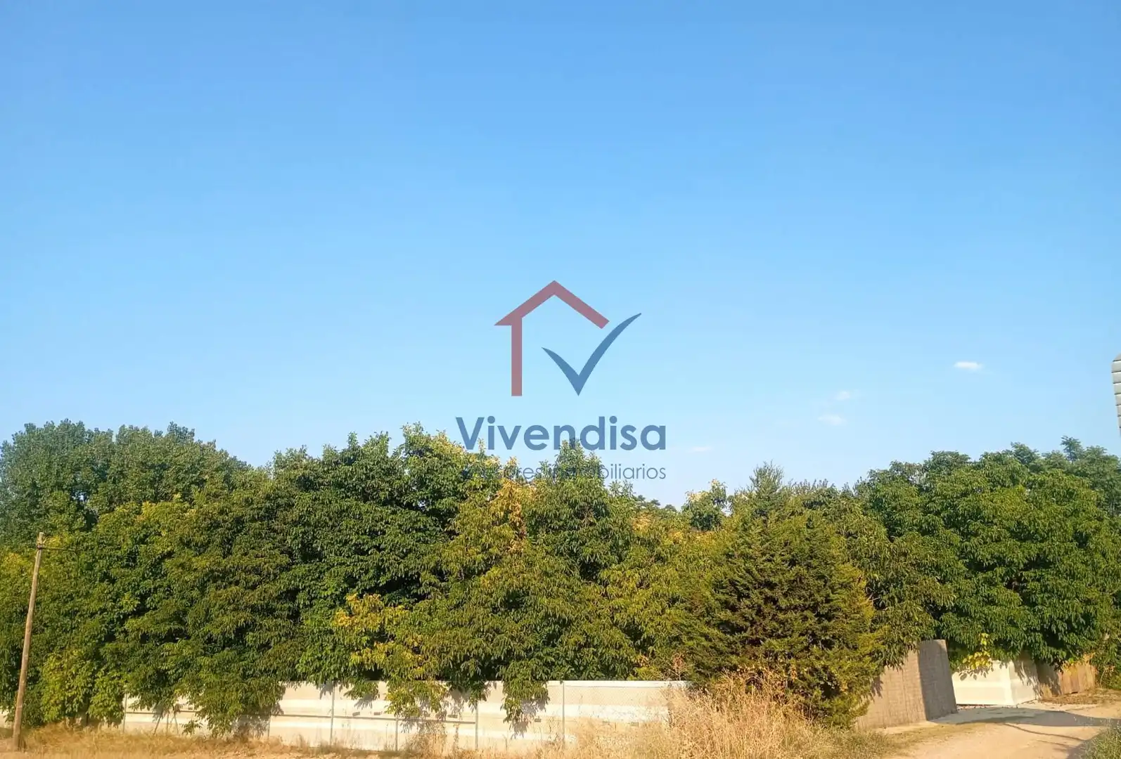 Terreny rústic en venda a Pesquera (Polígono 512), imagen 57
