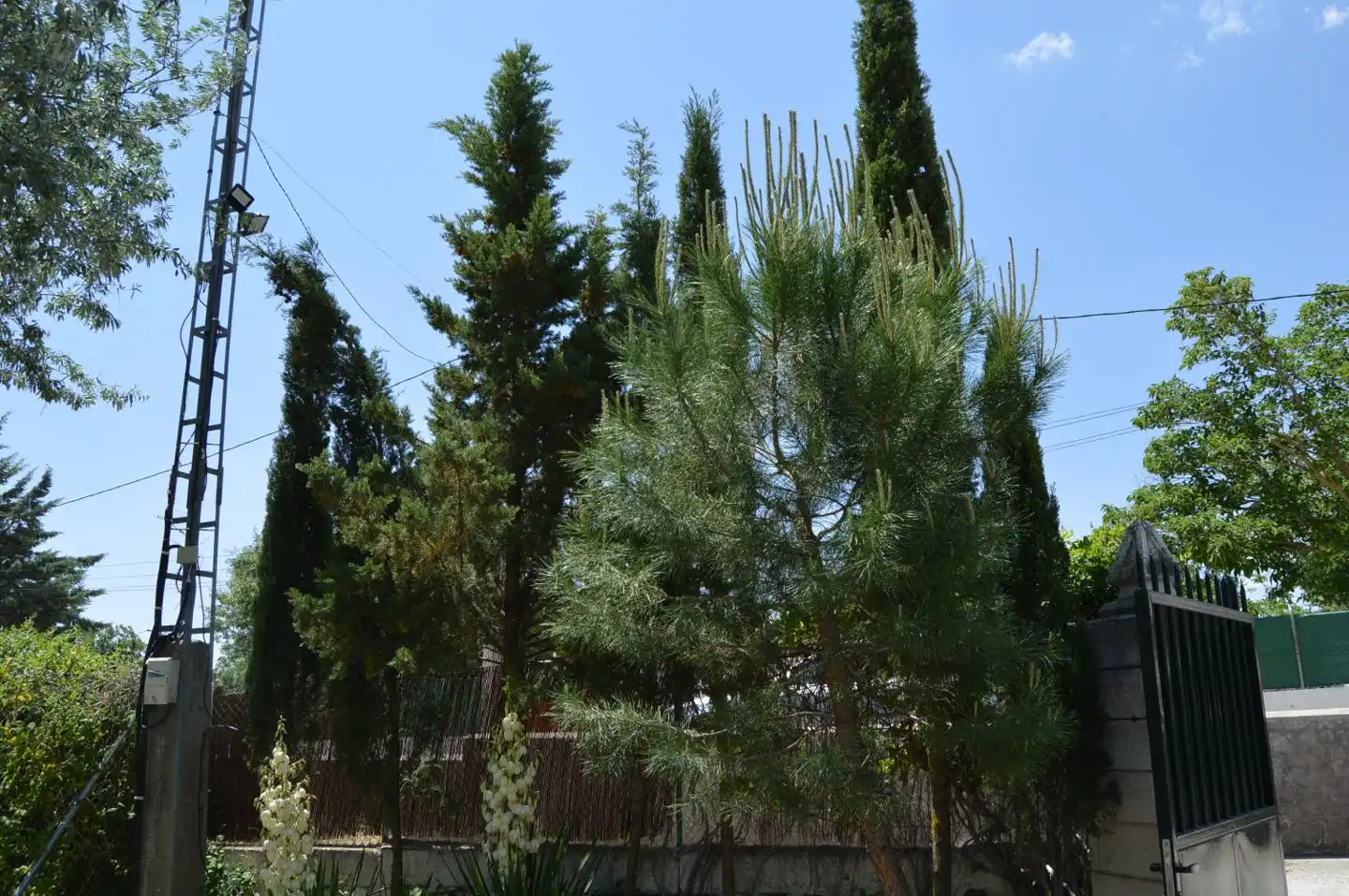 Casa o xalet en venda a LAS CARMELITAS, Tarancón
