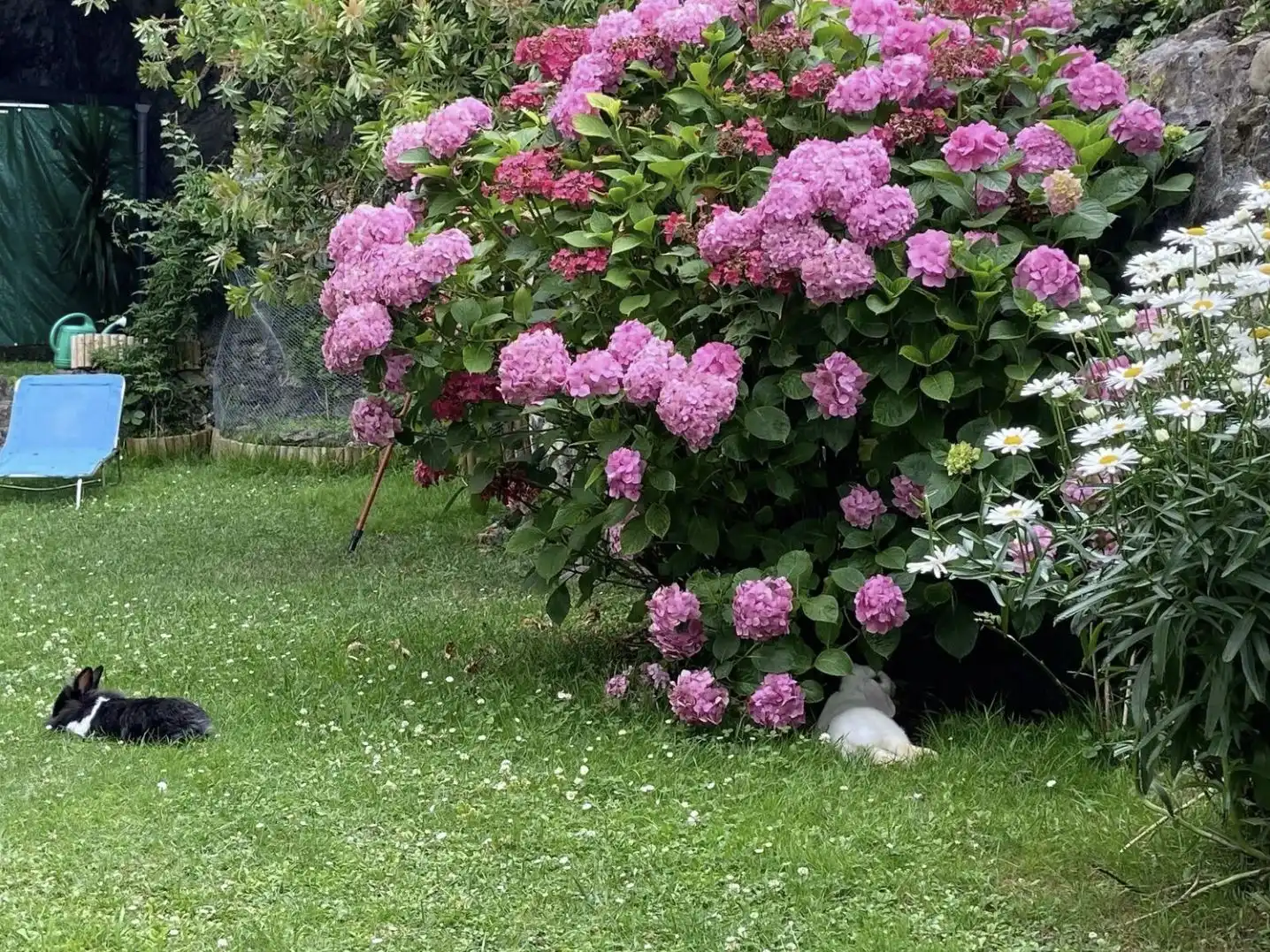 Jardí de Casa o xalet de lloguer en Valle de Trápaga-Trapagaran amb Calefacció, Jardí privat i Terrassa