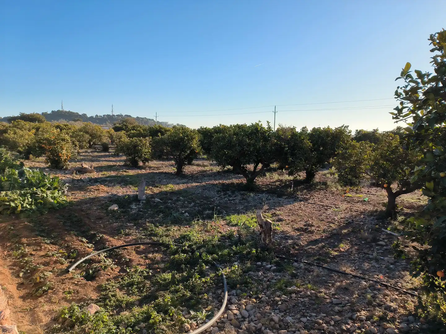 Terreno en venta en La Ràpita