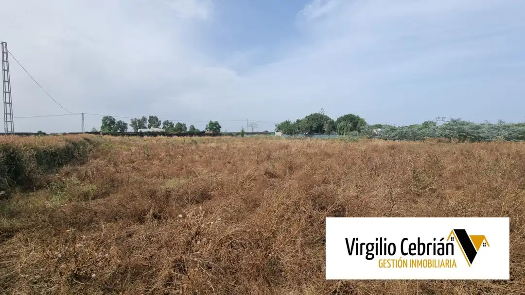 Casa rustica con giardino in vendita a Las Tres Piedras - Costa Ballena, imagen 2