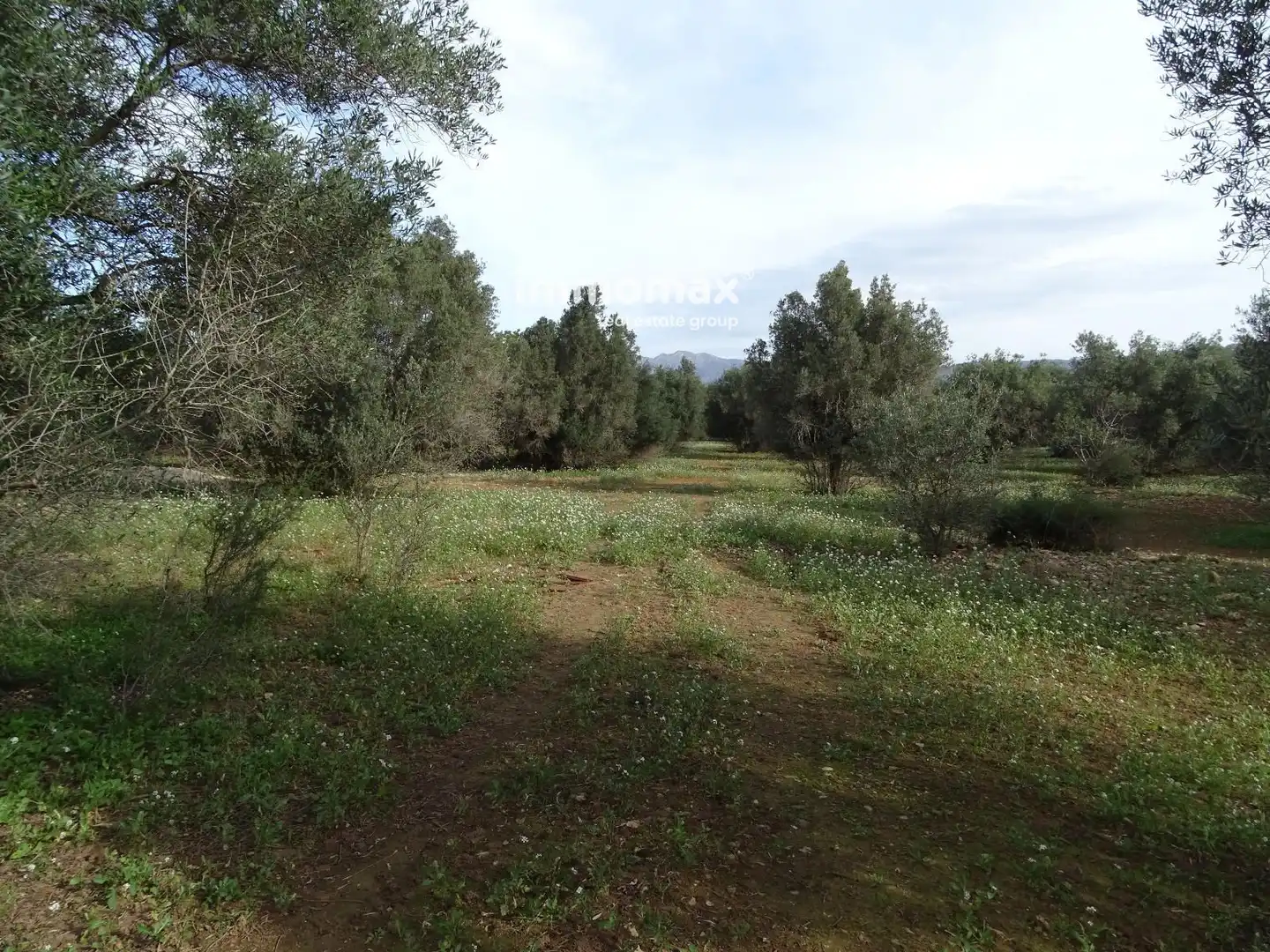 Terrain résidentiel à vendre à 16, imagen 30