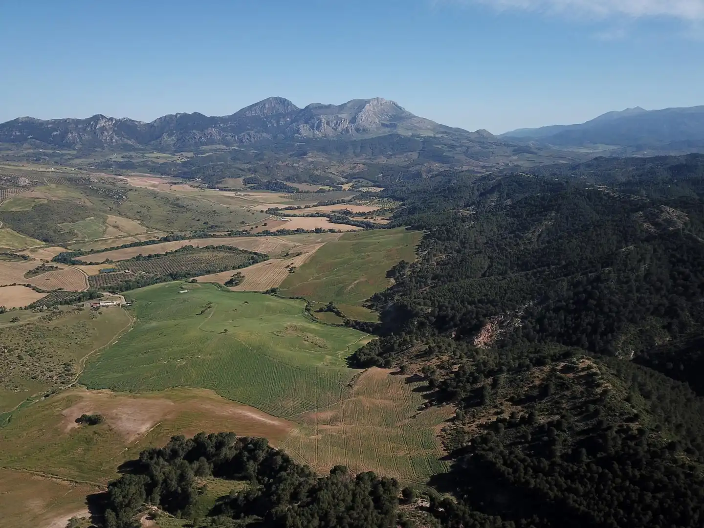Terreno residenziale in vendita a Ardales, imagen 59