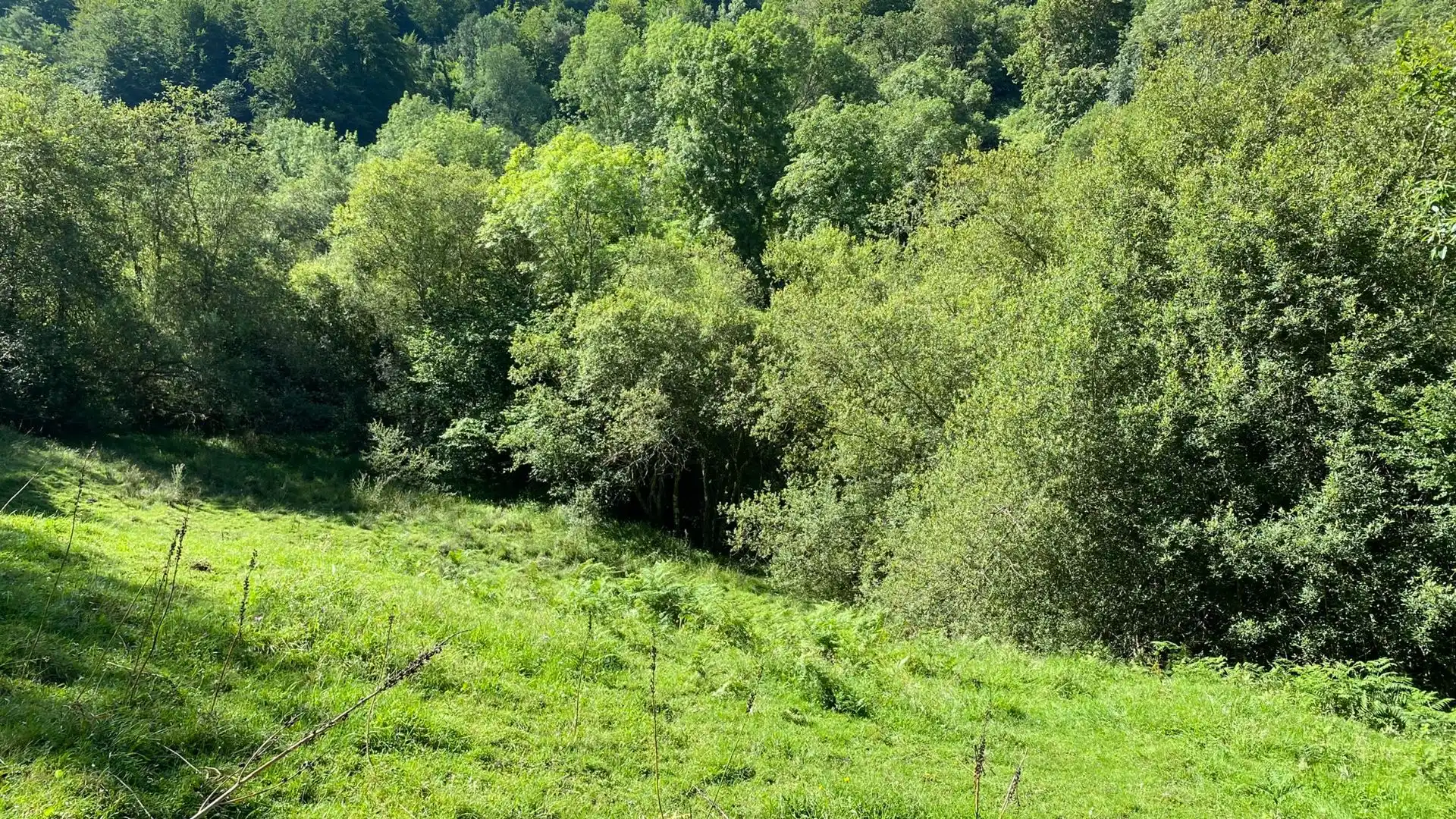 Terreno en venta en PRIESCA, Ponga