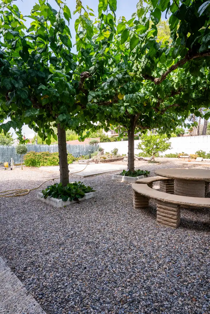 Jardí de Casa o xalet en venda en Vallmoll amb Calefacció, Jardí privat i Terrassa
