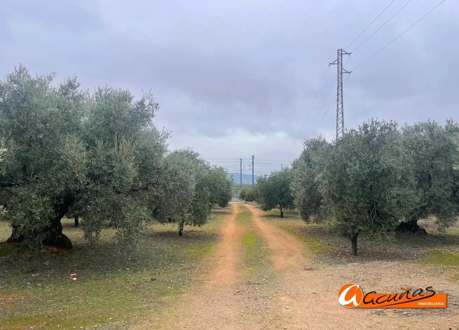 Terrenos y solares en venta en Alameda, imagen 7