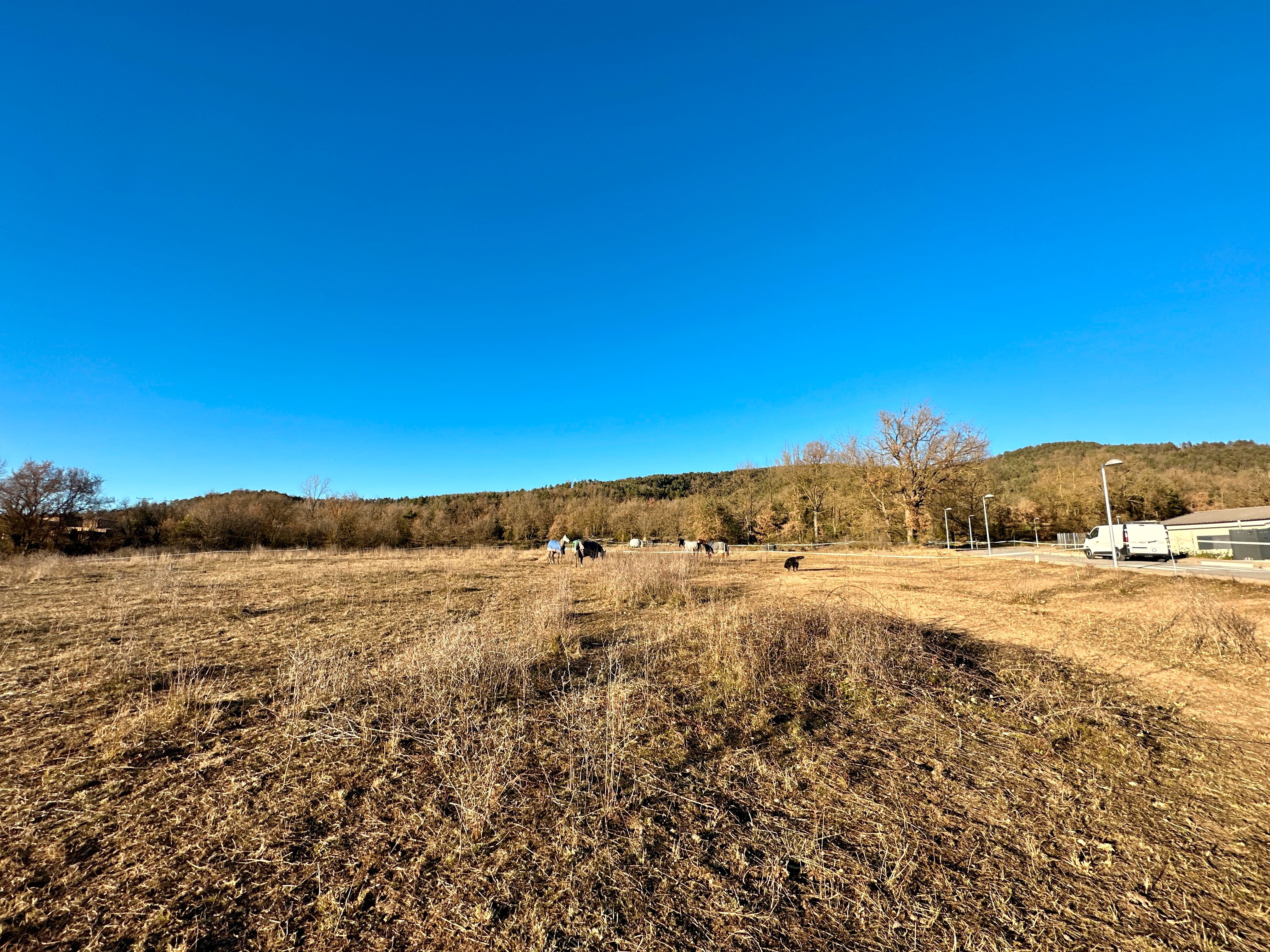 Land for sale in Sant Boi de Lluçanès
