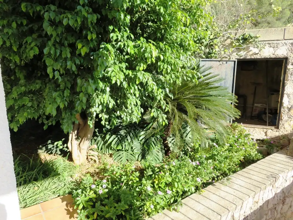 Jardí de Casa o xalet en venda en L'Atzúbia amb Jardí privat, Terrassa i Traster