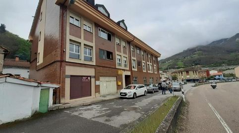 POLA DE LENA, imatge 2