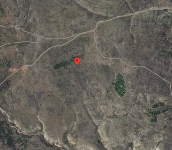 Terreno en Venta en Calle Arriba en Moya (Cuenca)